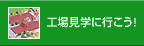 �H�ꌩ�w�ɍs�����I