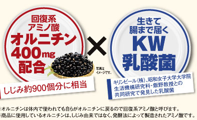 �񕜌n�A�~�m�_�I���j�`��400mg�z���~�����Ē��܂œ͂�KW���_��