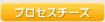 �v���Z�X�`�[�Y