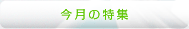 今月の特集