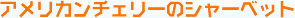 �A�����J���`�F���[�̃V���[�x�b�g