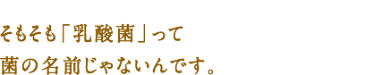 そもそも「乳酸菌」って菌の名前じゃないんです。