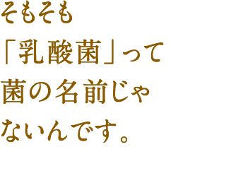 そもそも「乳酸菌」って菌の名前じゃないんです。