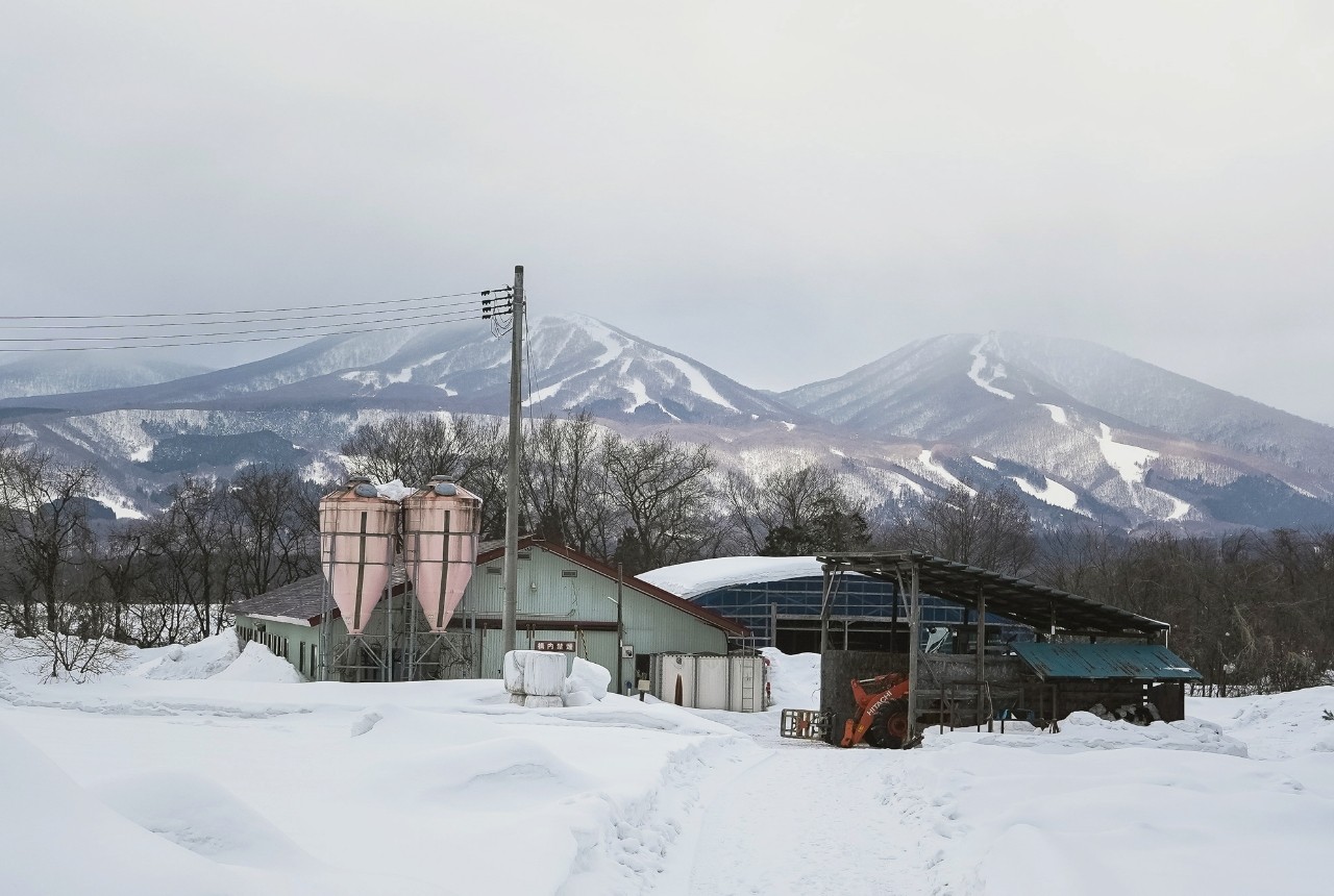 雪景色