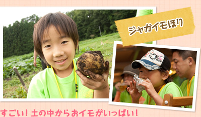 WKCقBIy̒炨CςI