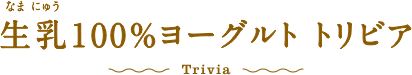 生乳100%ヨーグルト トリビア Trivia