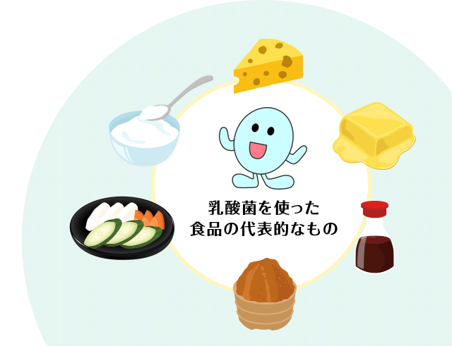 乳酸菌を使った食品の代表的なもの