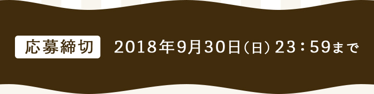 応募締切 2018年9月30日（日）23：59まで